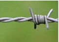 barbed wire