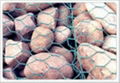 Gabion   Mesh 2