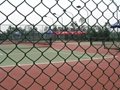 chain link fence netting 1