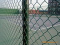 chain link fence netting 3