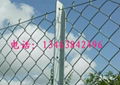 chain link fence netting 4