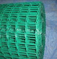 Holland wire mesh 1