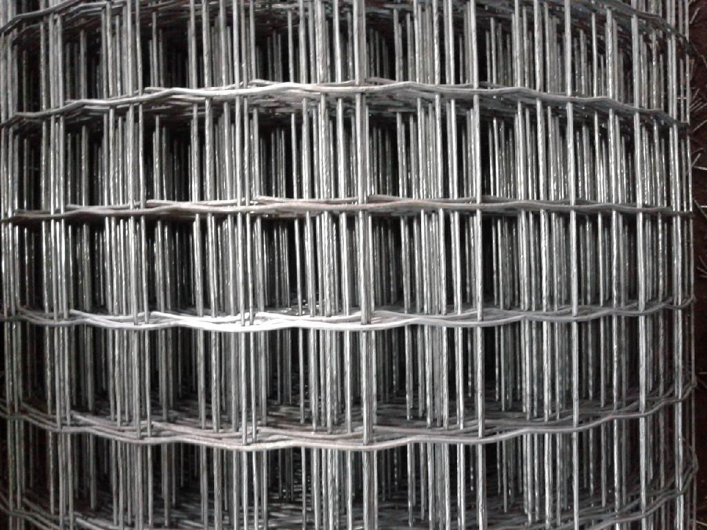 Holland wire mesh 4