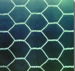 hexagonal wire mesh