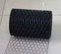 hexagonal wire mesh 2