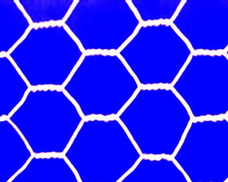 hexagonal wire mesh 4