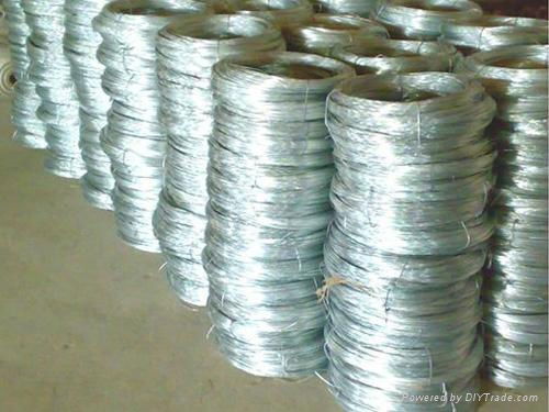 Galvanized wire 2