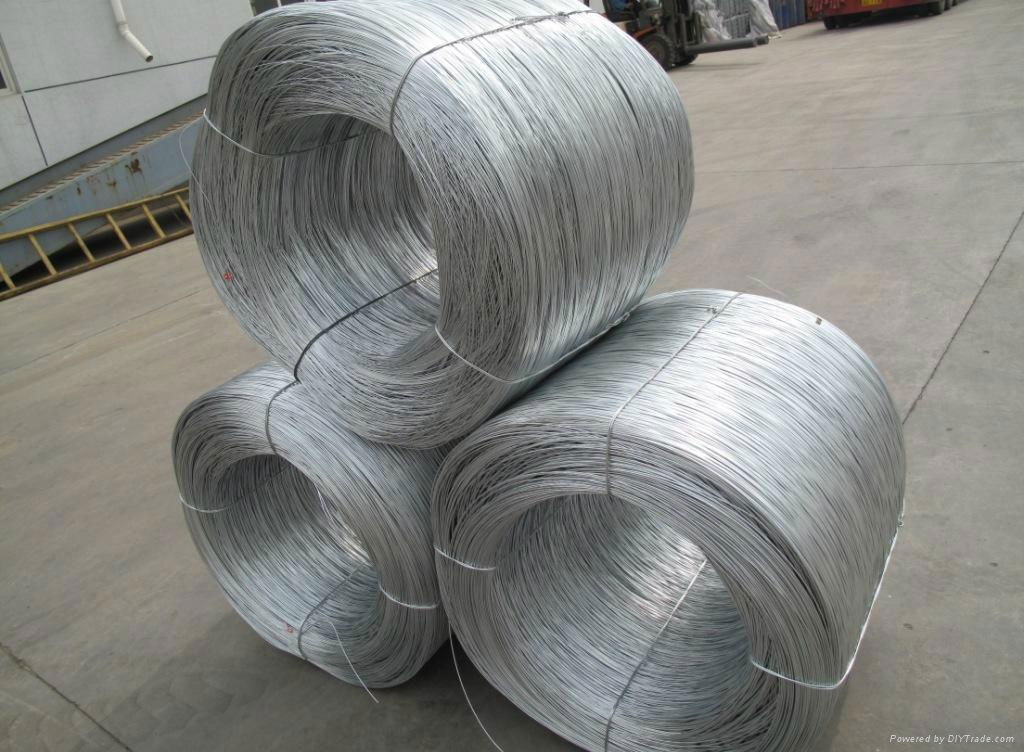 Galvanized wire 3