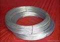 Galvanized wire 5