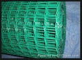 Holland wire mesh