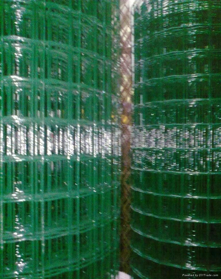 Holland wire mesh 5