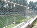 Chain link fence 5