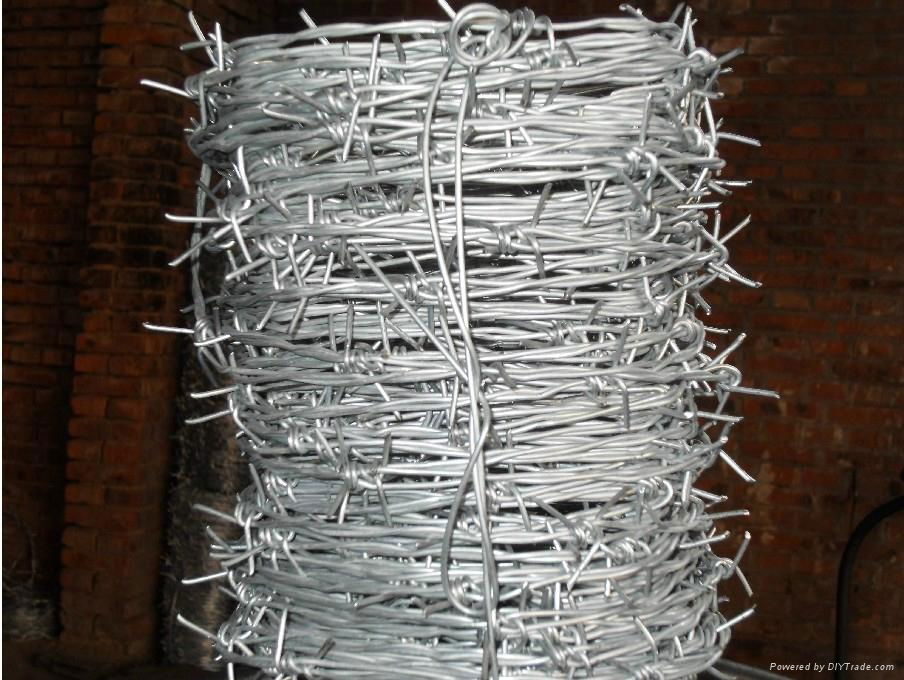 Barbed wire 5