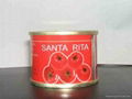 canned tomato paste 1