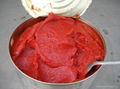 canned tomato paste 5