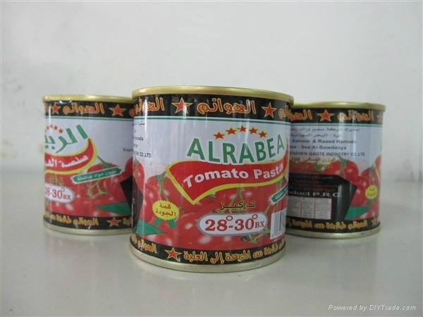 198g canned tomato paste 5