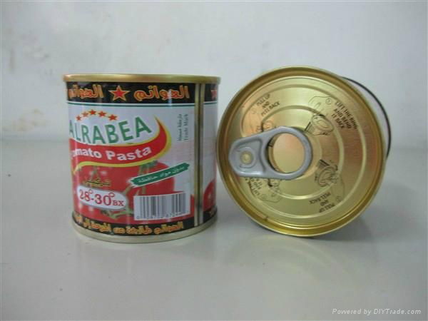 198g canned tomato paste 3