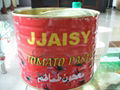 canned tomato paste 3