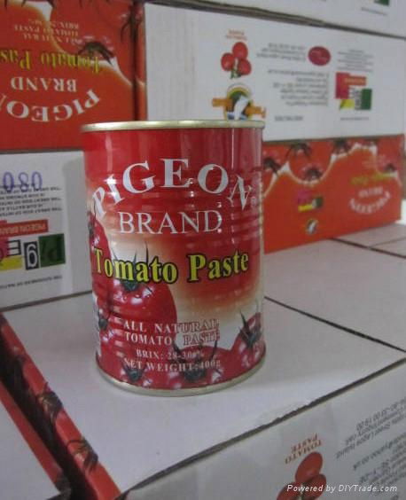 canned tomato paste 2