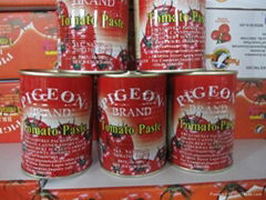 canned tomato paste