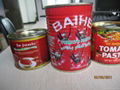 425g canned tomato paste 5