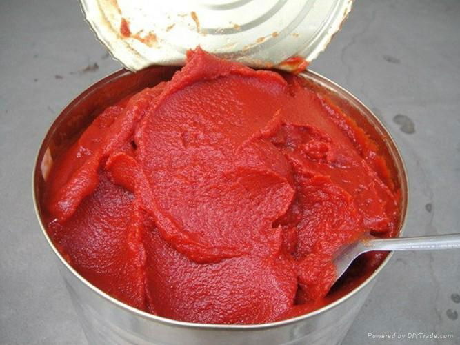 2.2kg canned tomato paste 4