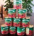 210g canned tomato paste