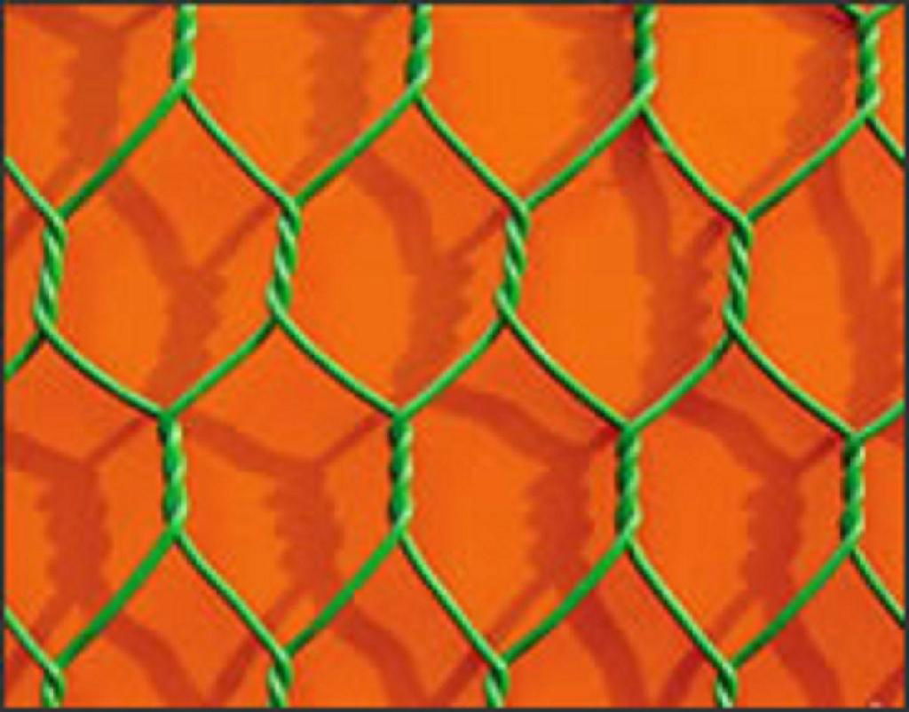 hexagnal wire mesh