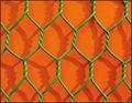 hexagnal wire mesh