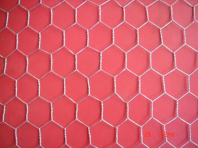 hexagnal wire mesh 2