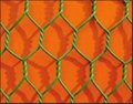 hexagnal wire mesh 3
