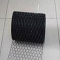 hexagnal wire mesh 5