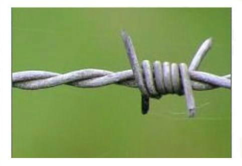 Barbed wire