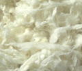 combed wool  1