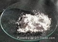  Titanium dioxide 1