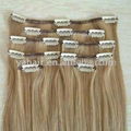 Clip in hair extension