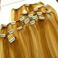 Clip on hair extension 1