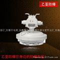 Explosion-proof ring fluorescent lamp