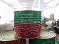 canned tomato paste 1