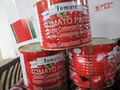 canned tomato paste 2