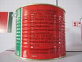 best price for fresh tomato paste with