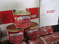 best price for fresh tomato paste with brix 28-30%  3