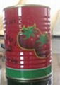 asepic canned tomato paste with competitive price  2