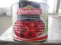 100% natural can tomato paste 2