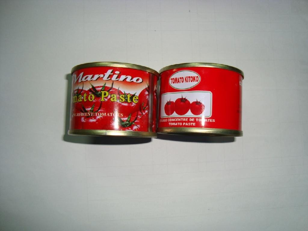 canned tomato paste 28-30 tomato ketchup with best price