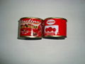 canned tomato paste 28-30 tomato ketchup with best price 1