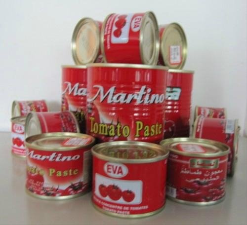 canned tomato paste 28-30 tomato ketchup with best price 2