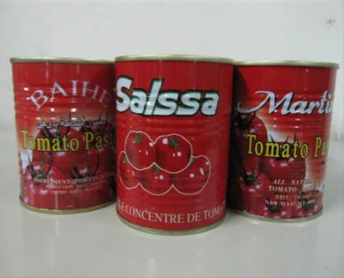 canned tomato paste 28-30 tomato ketchup with best price 3