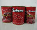 canned tomato paste 28-30 tomato ketchup with best price 3