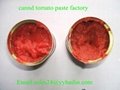 Hot!! stock canned tomato paste looking for buyer  2